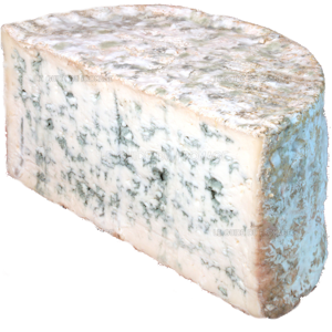 Image Bleu de chèvre des Pictons 1,25kg